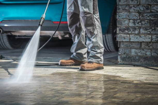 Best Building Exterior Washing  in Westernport, MD