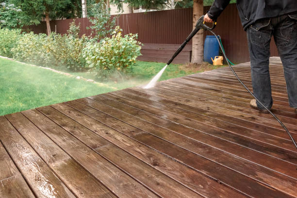 Best Animal Enclosure Cleaning  in Westernport, MD